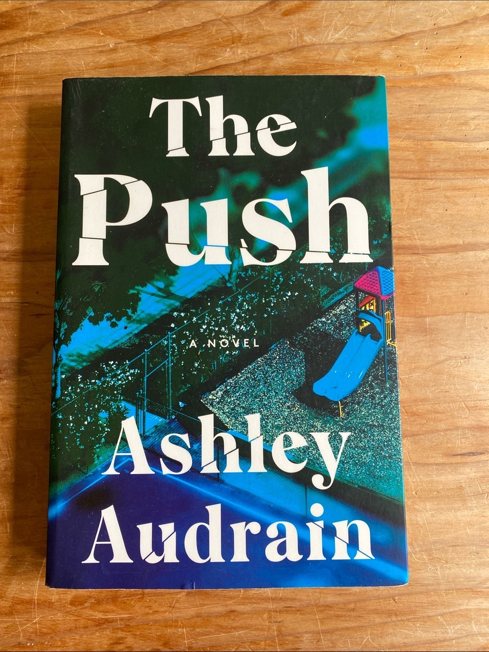 Softcover “The Push” Novel by Ashley Audrain